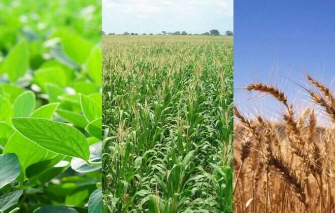 Un trascendido que impactó negativamente