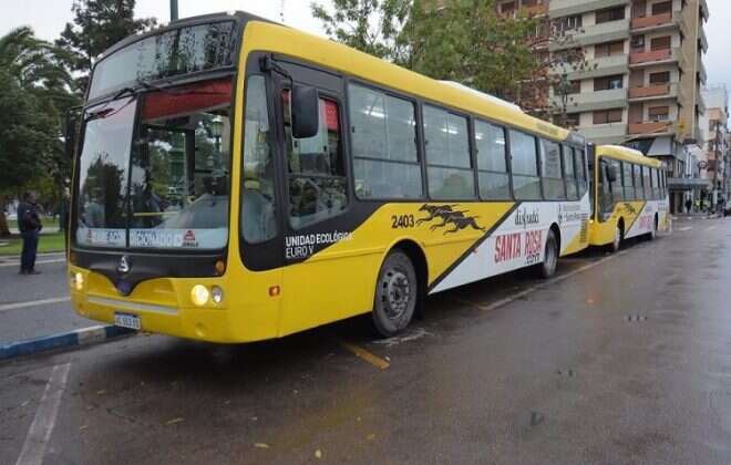 Paro de Autobuses en Santa Rosa