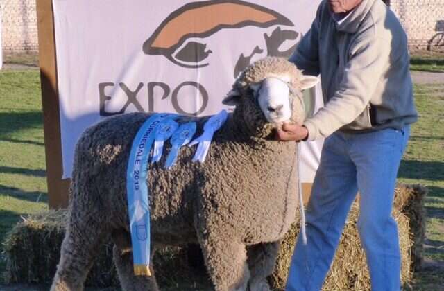 Se realizó la Expo Ovino de AlpachiriÂ 