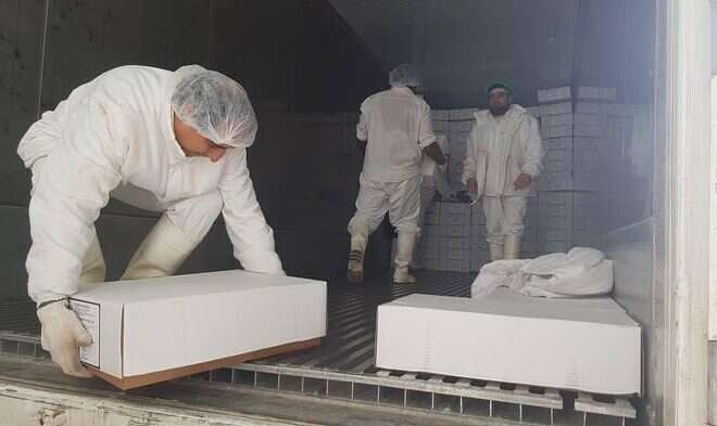 Exportación de carnes: Perspectivas inmejorables para el Frigorífico Santa Isabel