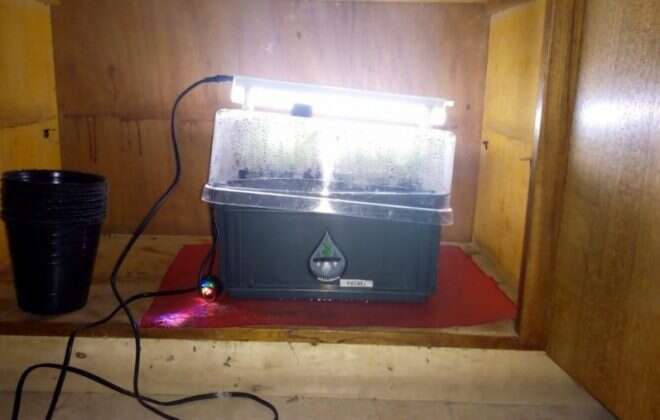 Operativo antidrogas en General Pico