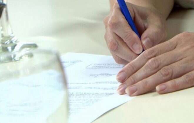 Educación: designaciones para todos los niveles y modalidades