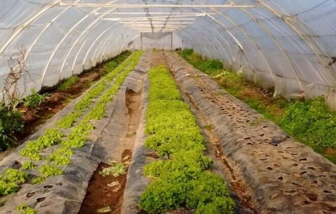 Municipios: se prorrogan por 90 días las cuotas de créditos Ley 2870