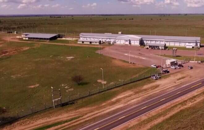 Se vendió el frigorífico de Bernasconi en más de 400 millones de pesos