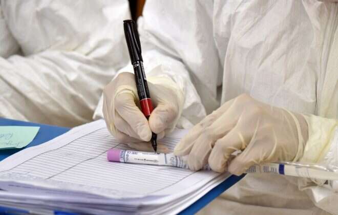 Covid-19: 8 nuevos positivos de 41 muestras analizadas