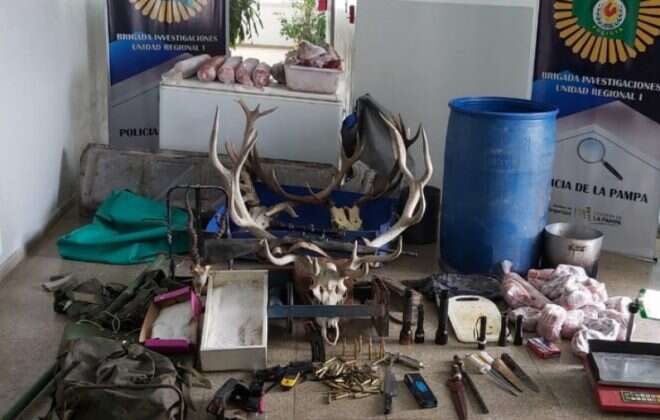 Intensos operativos policiales para desbaratar banda de cazadores ilegales