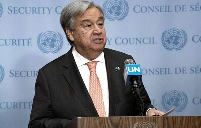 Día internacional de la democracia. La ONU insta a “construir un mundo igualitario e inclusivo”