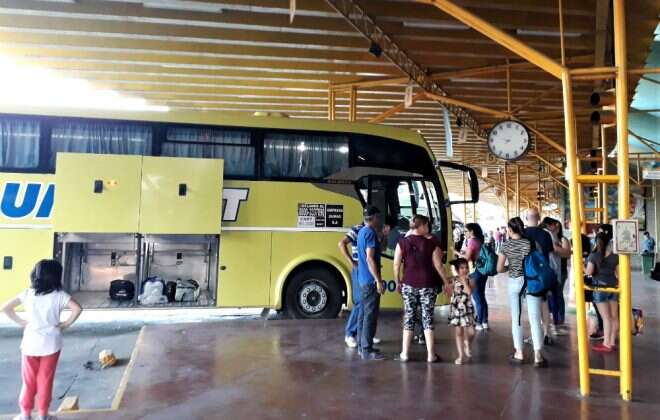 Anunciaron habilitación de los servicios de transporte automotor interurbano de pasajeros