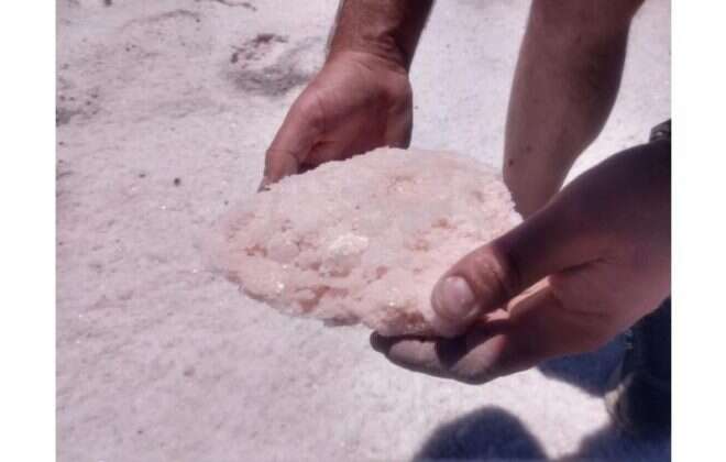 Energía y Turismo integradas por el taller “Minería en Salinas”