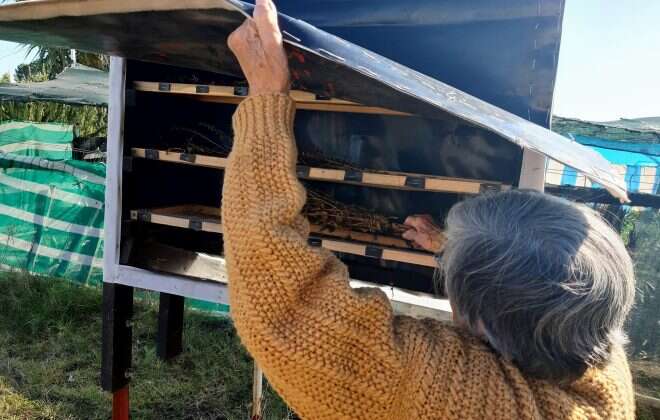 Visita de Cultura a la comunidad Ñancufil Calderón en Quehué