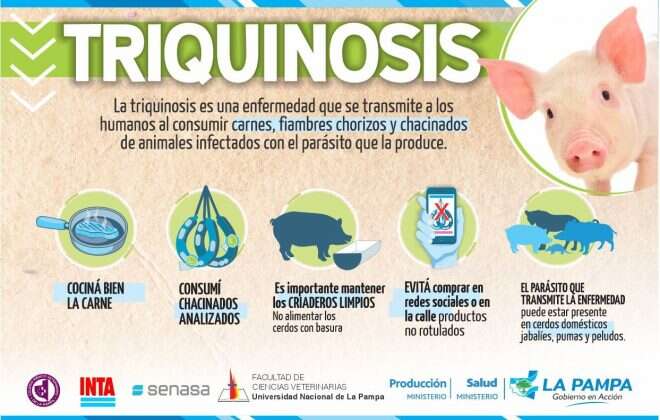 Reiteran medidas preventivas contra la triquinosis