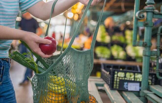 La Pampa, entre las provincias donde más aumentó el consumo en 2021