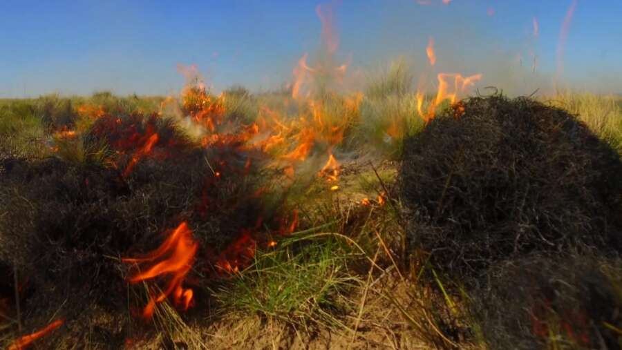 Se habilita la temporada de quemas prescriptas