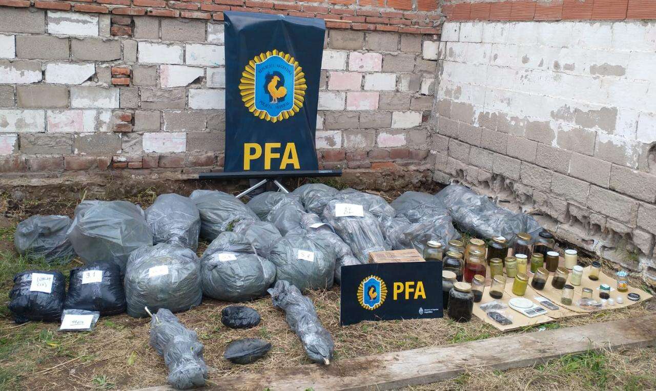 Se picó la Cosecha: PFA desbarató un laboratorio clandestino y secuestró 25 kilos de flores de marihuanaï¿¼