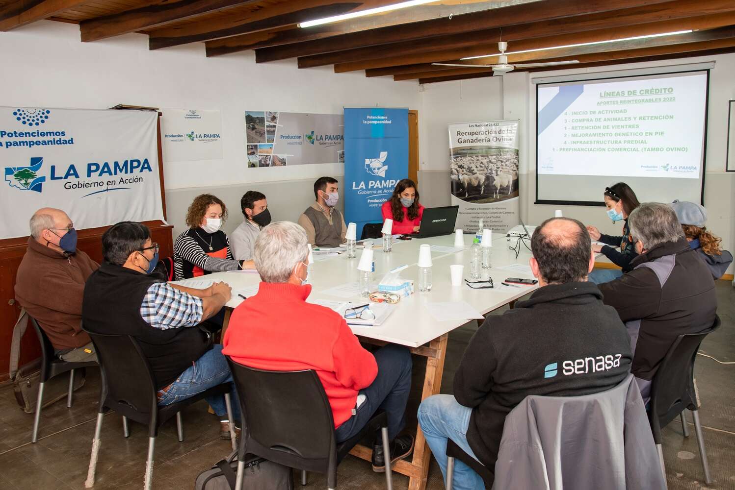 Mesa Ovina: Se aprobó el financiamiento de proyectos productivos