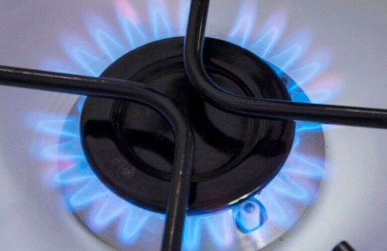 Argentina: se espera que el Gobierno ponga en marcha esta semana el registro para mantener el subsidio