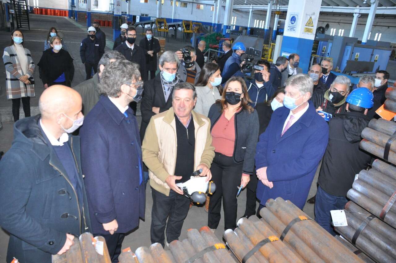 Forestal Pico en el horizonte para exportar a Chile