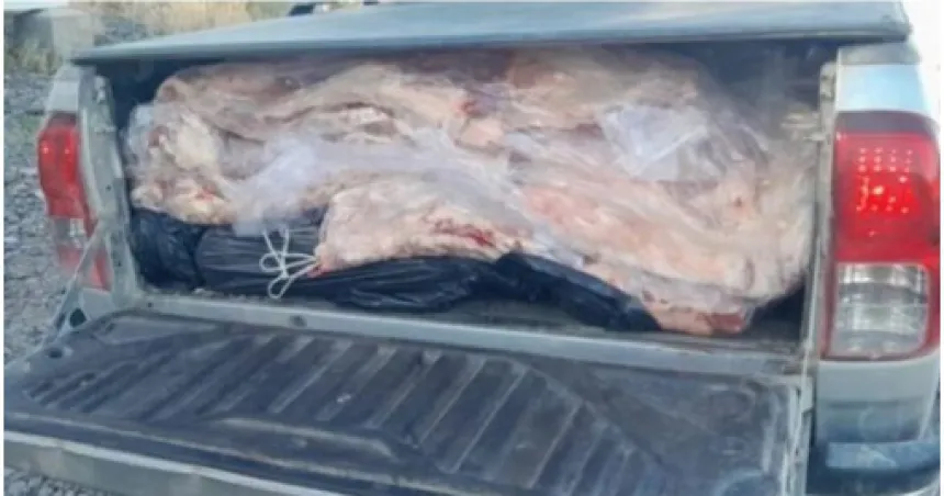 Decomisaron 1.500 kg de carne provenientes de La Pampa