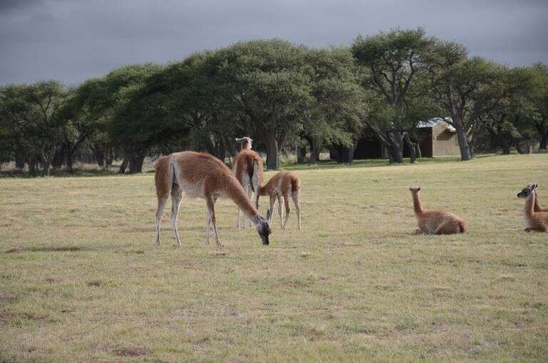 El Gobierno de La Pampa presenta “La otra Patagonia”, la oferta turística para las próximas vacaciones de invierno