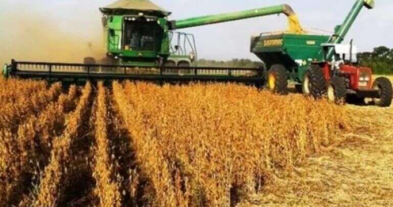 Un informe confirma que La Pampa evitó la recesión en 2024 y consolidó una década de crecimiento