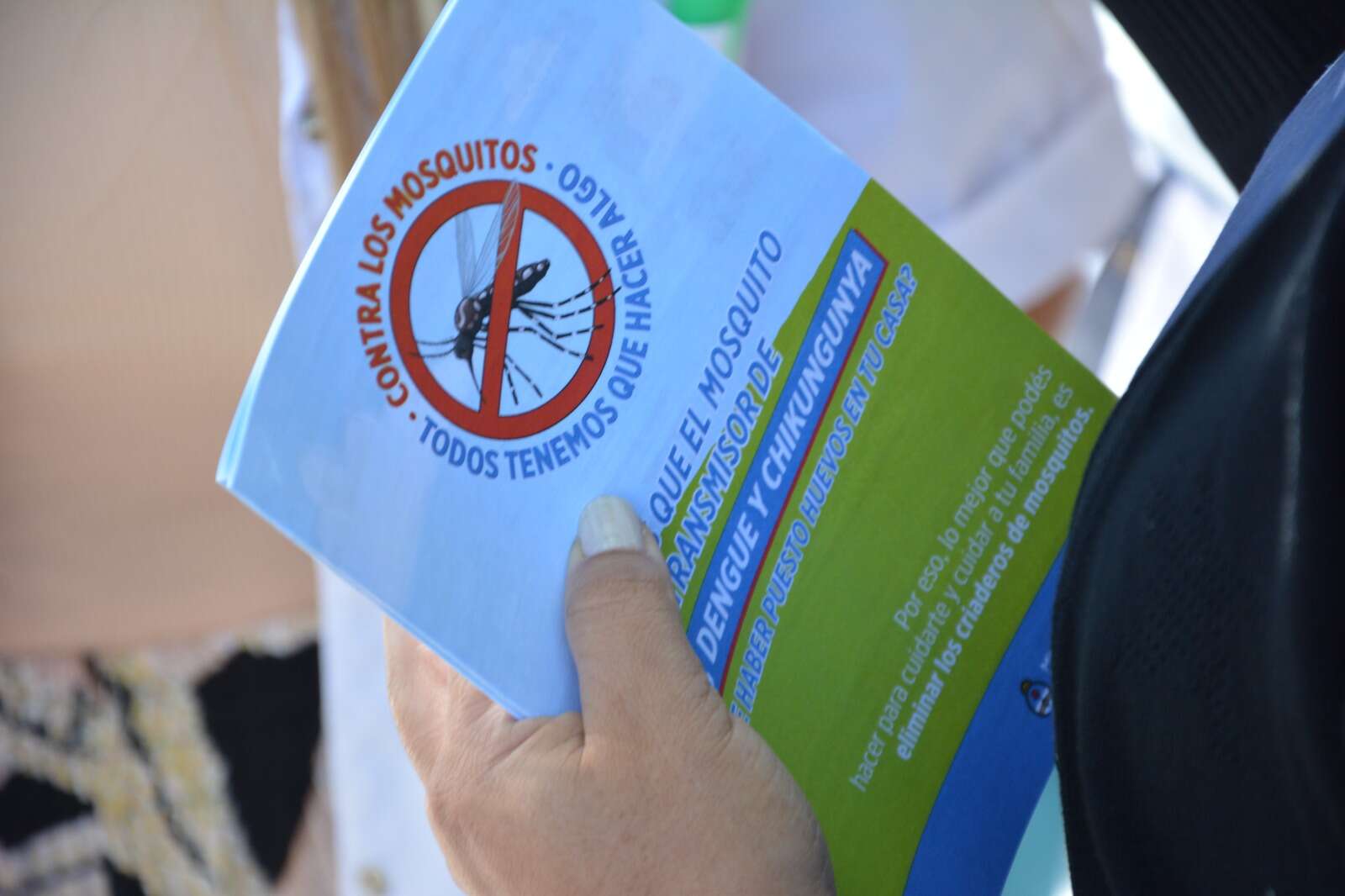 General Pico: Dos nuevos casos autóctonos de dengue