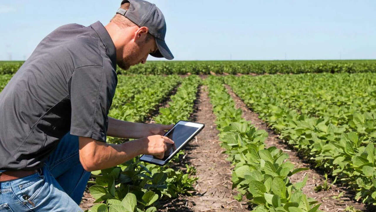 La digitalización reduce hasta 70% la carga administrativa en el sector agropecuario