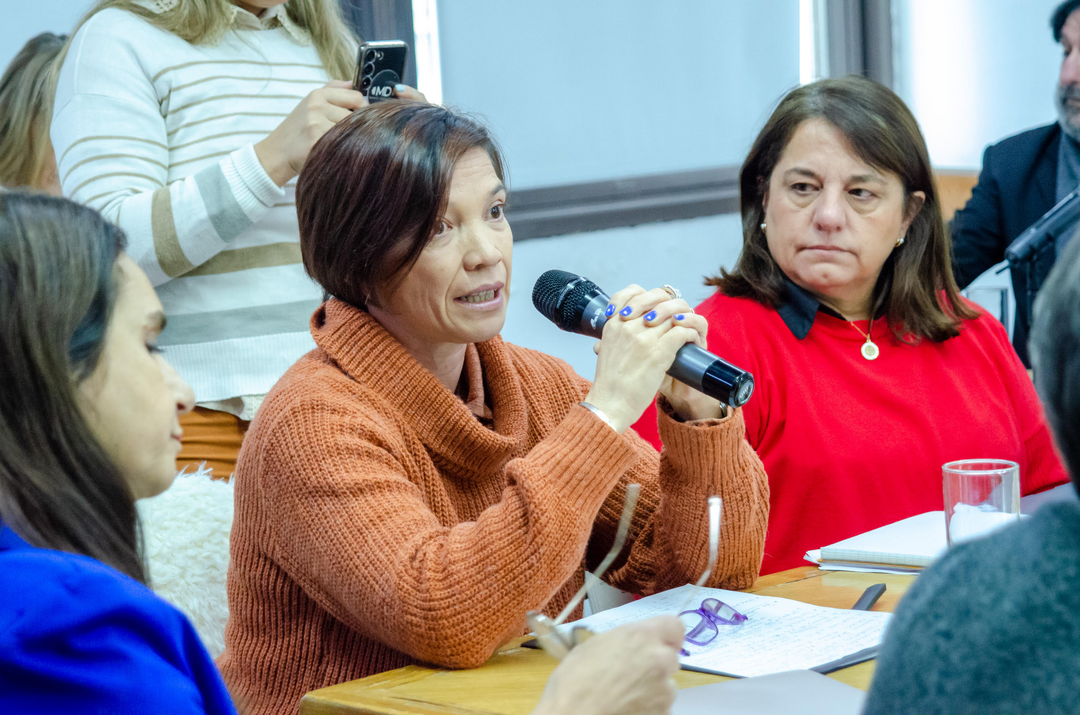 Avanzan en el tratamiento del proyecto de regulación en kinesiología y fisioterapia