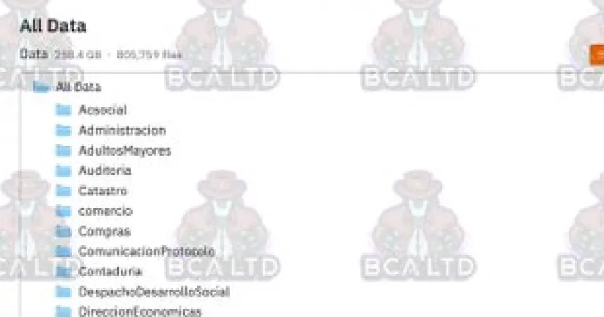 Hackers liberan datos que tenía la Municipalidad de Santa Rosa