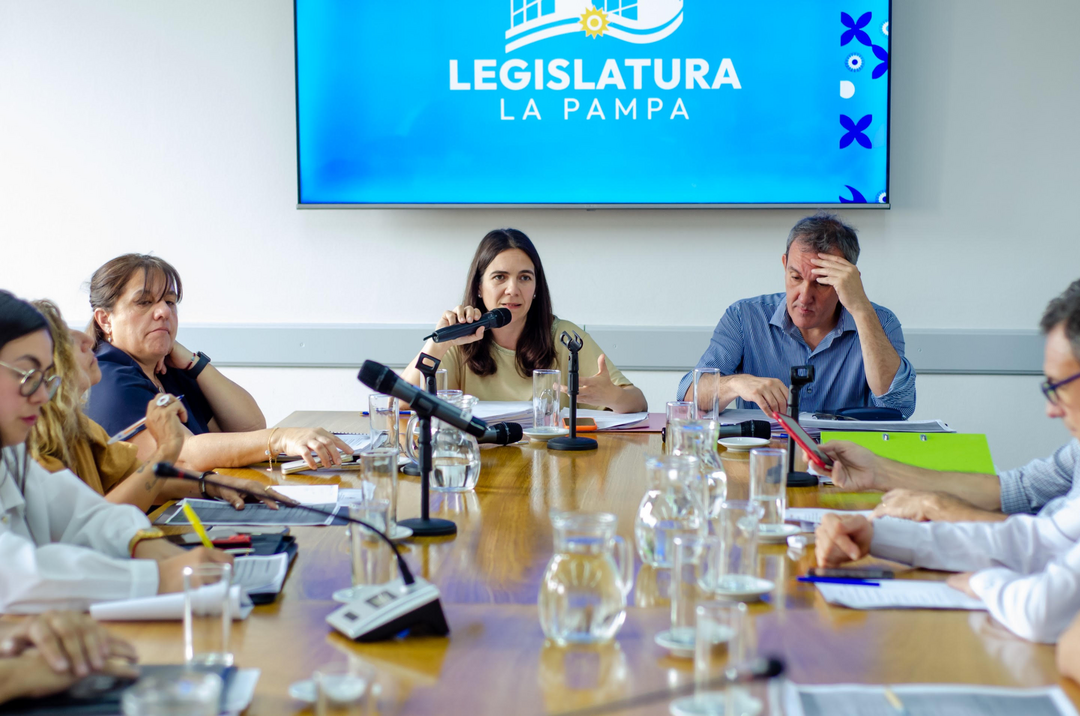 Legislatura provincial: cuatro comisiones y varios despachos