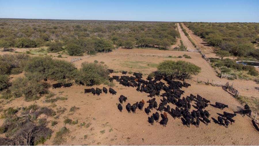 Dieron detalles de las líneas disponibles para el sector agropecuario