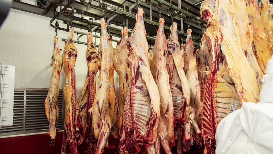 Frente externo: La Pampa proyecta nuevos horizontes comerciales ante el giro proteccionista de Estados Unidos