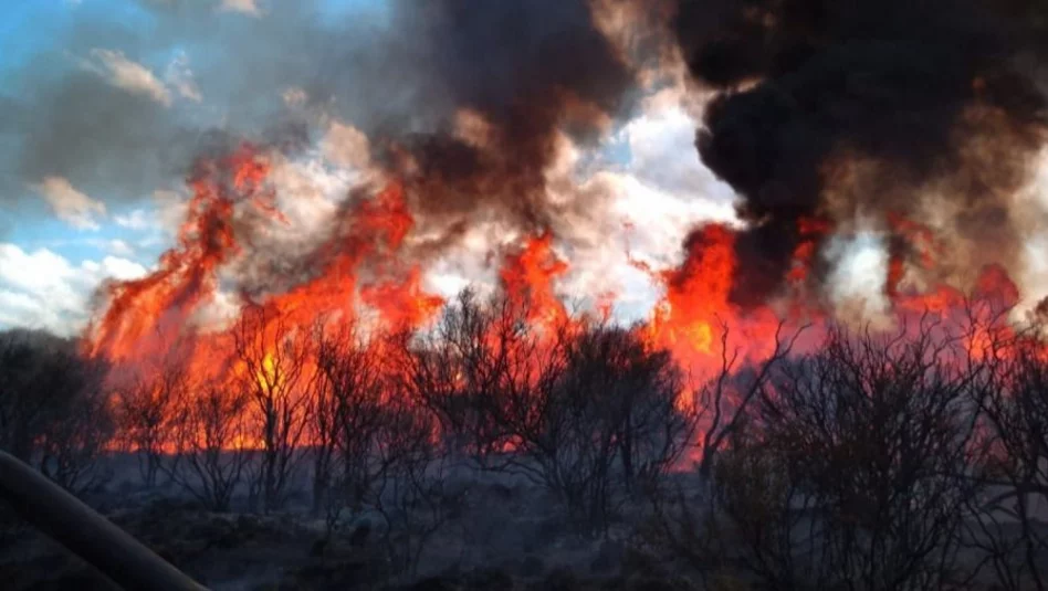 Multan a un productor rural por provocar un incendio en Toay