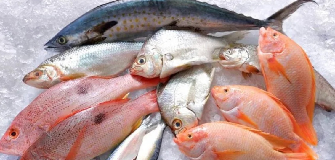 Consejos para el consumo seguro de productos de la pesca durante Semana Santa