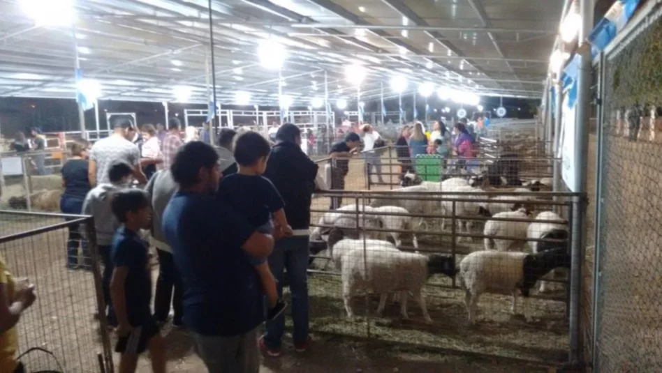 25 de Mayo se prepara para la séptima Muestra de la Producción en el Secano y Bajo Riego