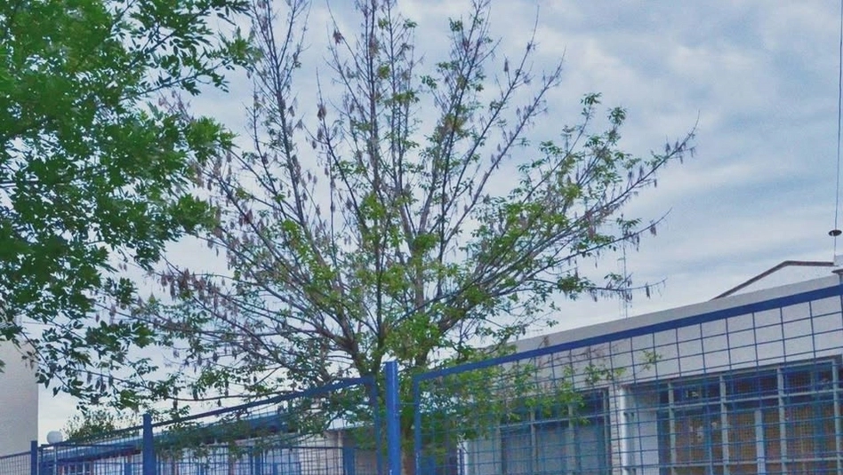 Educación repudió hechos de violencia escolar y respaldó al cuerpo docente