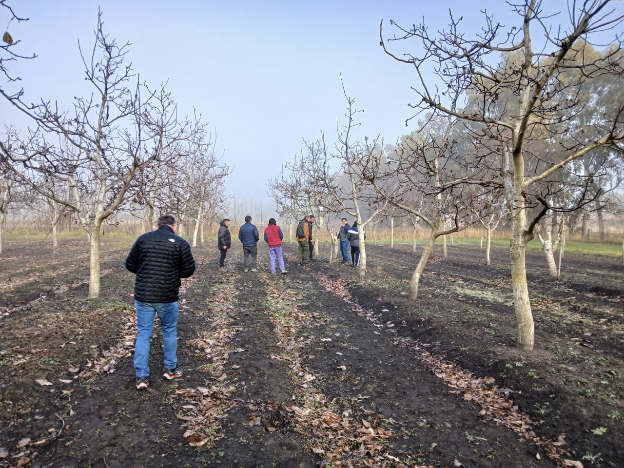 La Pampa impulsa el desarrollo de frutos secos incorporando nuevas experiencias técnicas