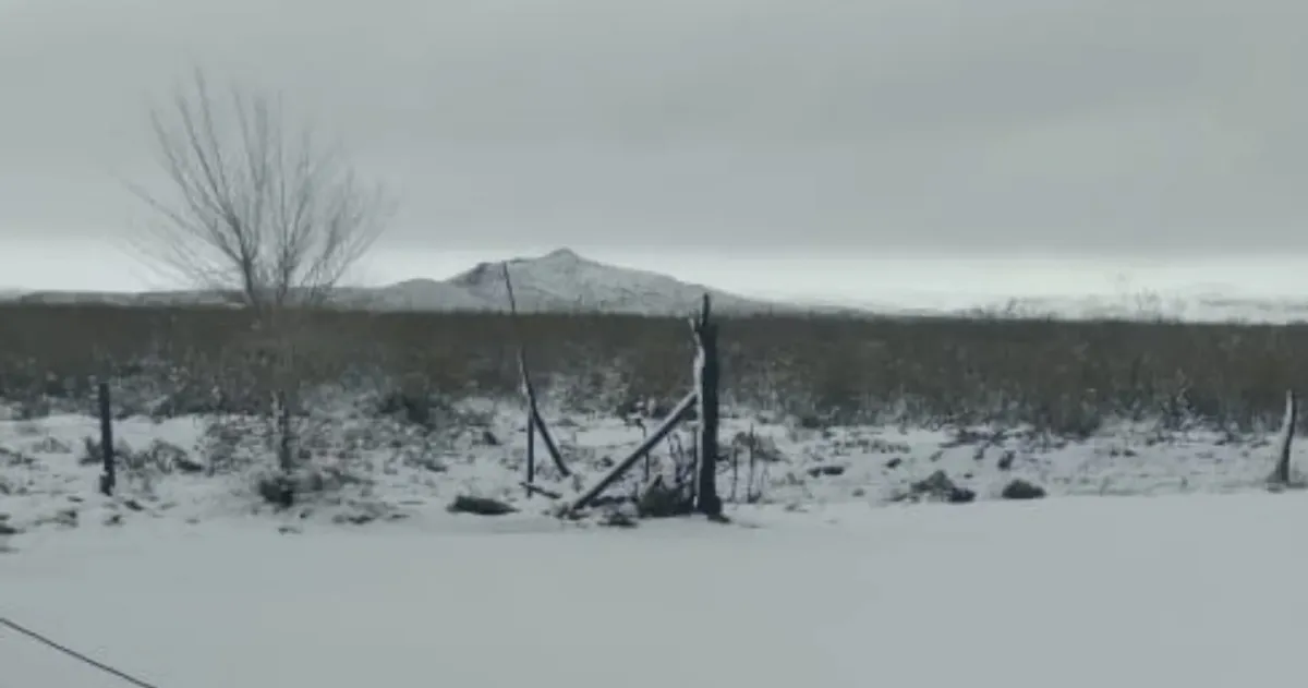 La “Tormenta de Santa Rosa” trajo nieve a La Humada
