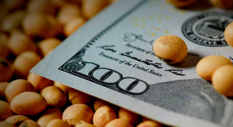 A contramano de Chicago e impulsada por el dólar, la soja subió en Rosario y alcanzó los $400 mil por tonelada