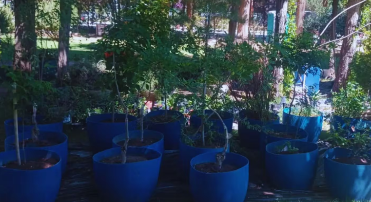 Avanza en Neuquén un plan para transformar agua industrial en riego