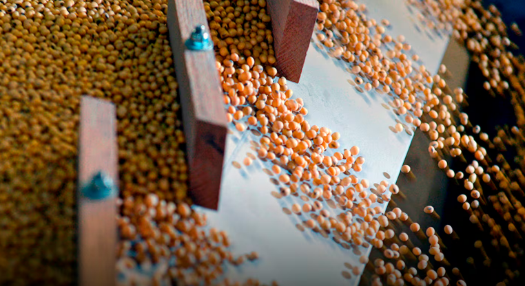 El ejecutivo boliviano de 68 años que impulsa negocios de IA y desafía el edadismo