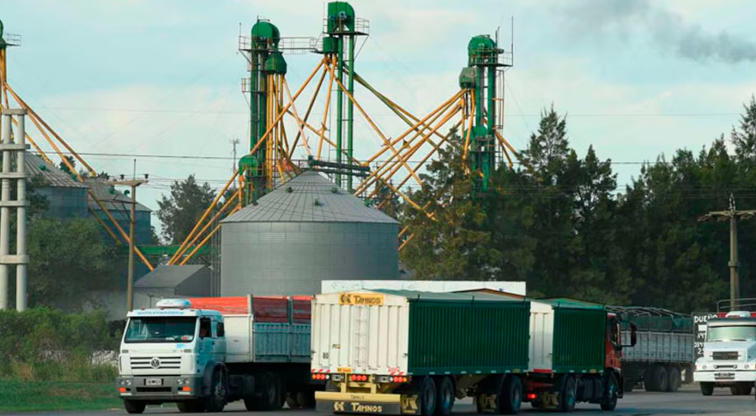 El flete de granos en Argentina es hasta un 30% más caro que en Brasil y EE. UU.