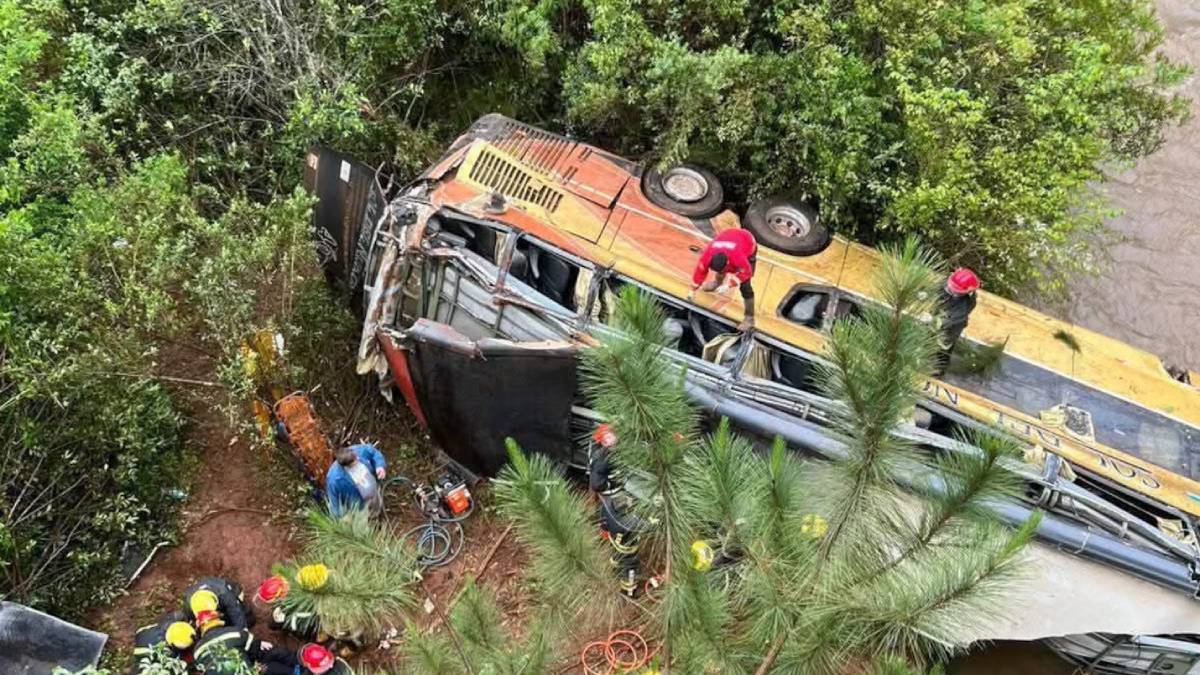 Tragedia en Misiones: un micro cayó al arroyo y provocó al menos cinco muertes