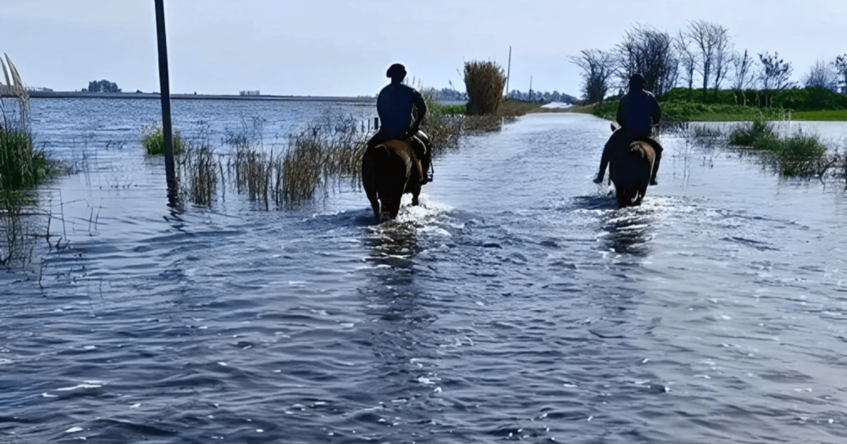 Bullrich visitará 9 de Julio para coordinar asistencias tras las inundaciones