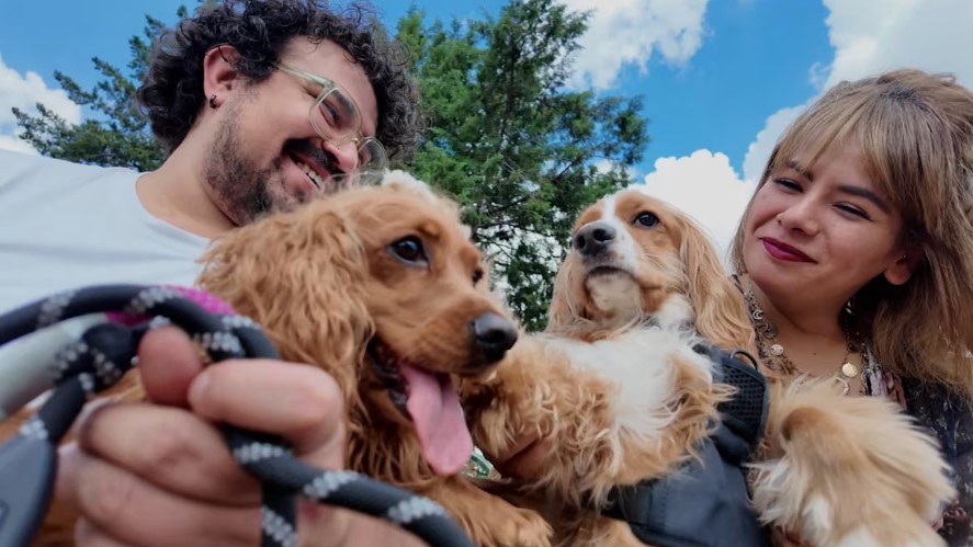 ¿Quién se queda con el perro? Cómo la Ciudad de México resolvió un dilema que complicaba muchos divorcios