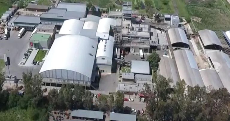 General Pico: “Los anuncios nacionales no alcanzaron”, despidieron a más de 180 trabajadores del Frigorífico Pico