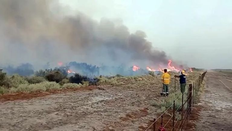 Ya se quemaron más de 142 mil hectáreas en La Pampa a raíz de los incendios forestales
