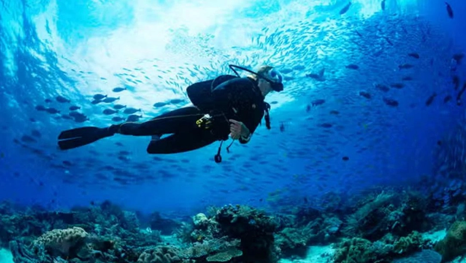 Puerto Madryn: buscan a una turista que desapareció mientras practicaba buceo en el Golfo Nuevo