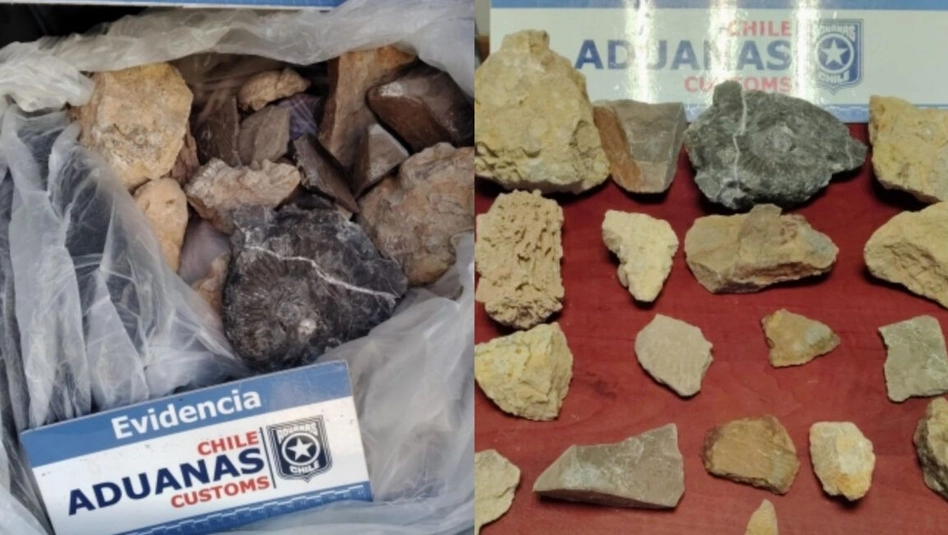 Paso Pehuenche: intentó cruzar a Chile con fósiles en el baúl y fue detenido por la Aduana