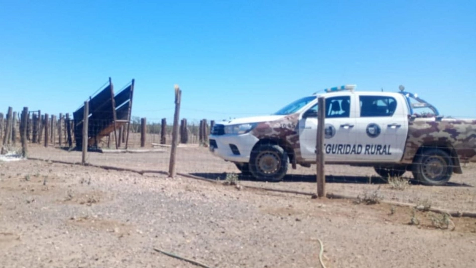 Algarrobo del Águila: tres detenidos por el remate de hacienda descubierto en una transmisión por YouTube