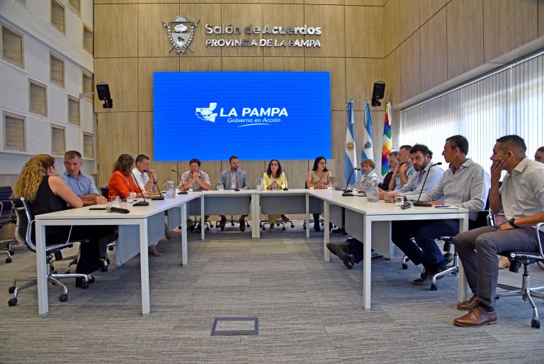 El Gobierno confirmó que no hubo ofertas en la licitación del área hidrocarburífera El Medanito